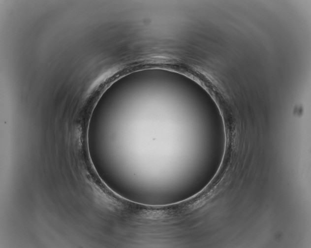 X0000090741402200707271415