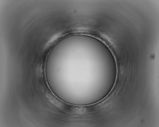 X0000090741403200707271415