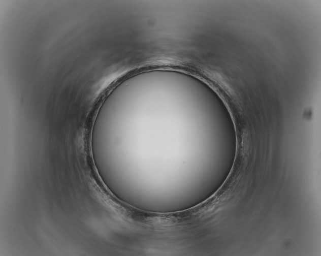 X0000090741404200707271415