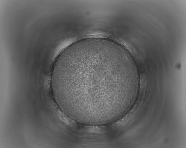 X0000090741405200707271415