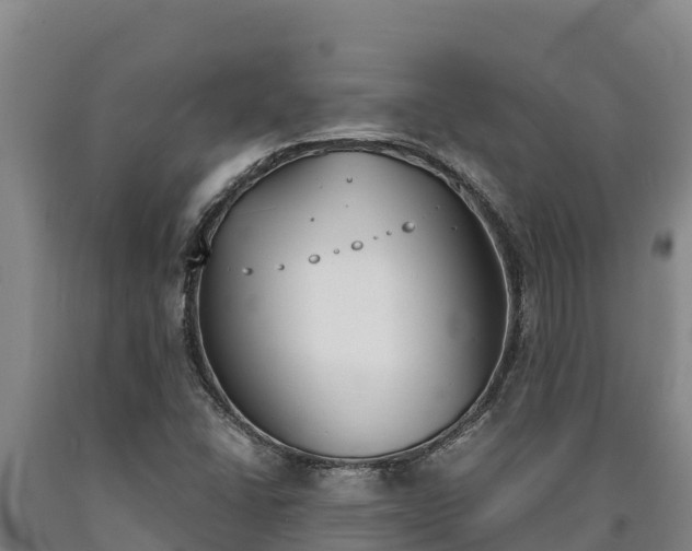 X0000090741406200707271415