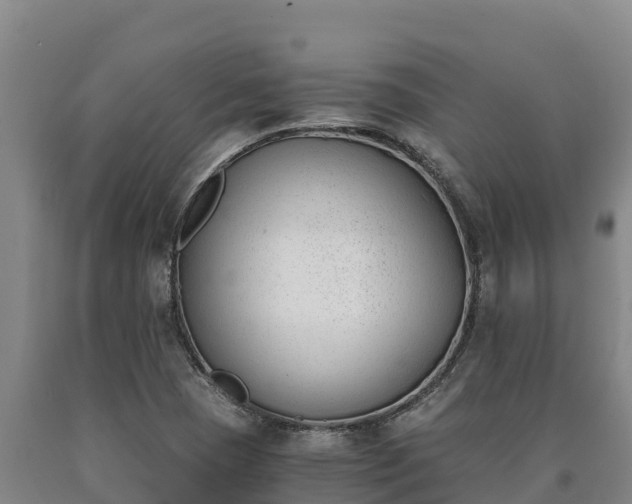X0000090741409200707271415