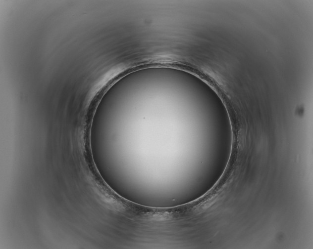 X0000090741410200707271415