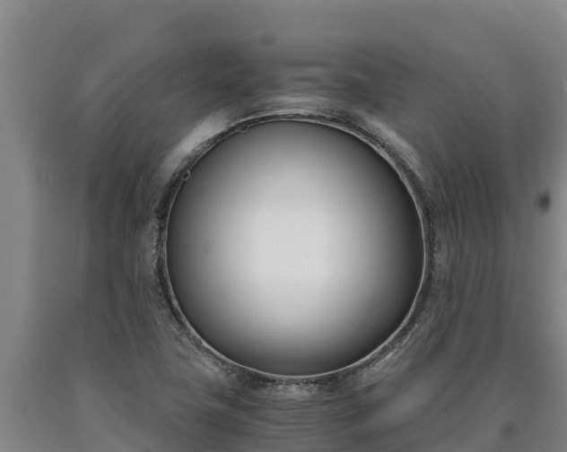 X0000090741411200707271415