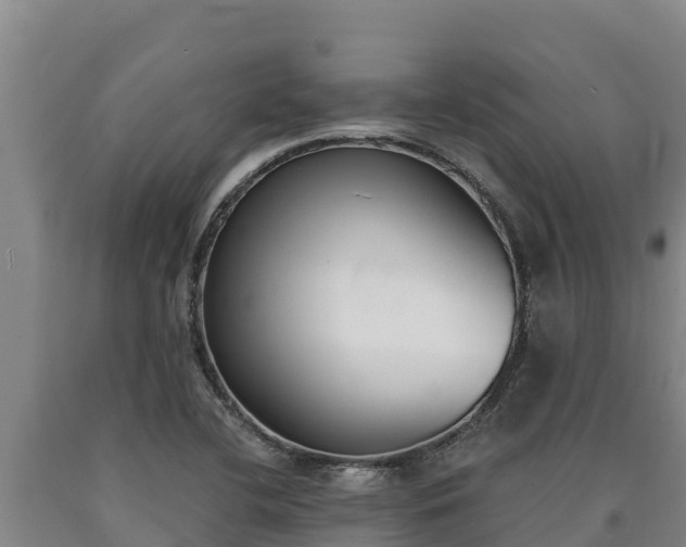 X0000090741412200707271415