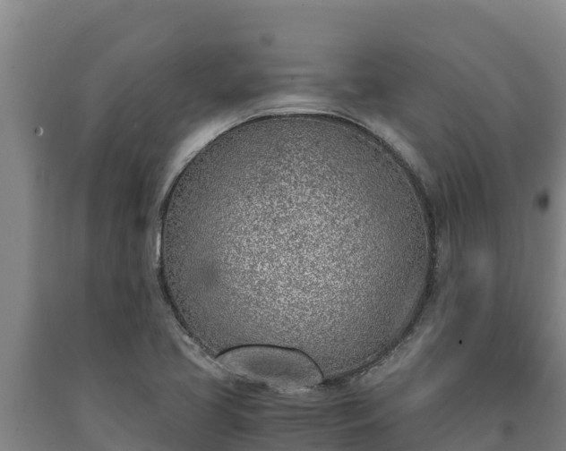 X0000090741413200707271415