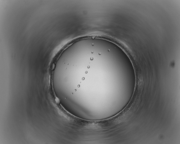 X0000090741414200707271415