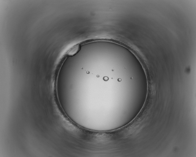 X0000090741416200707271415