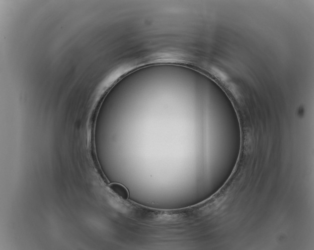 X0000090741419200707271415