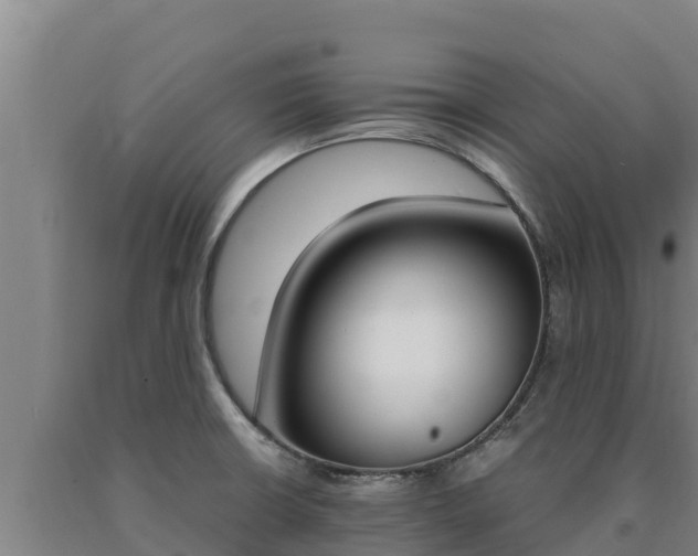 X0000090741426200707271415