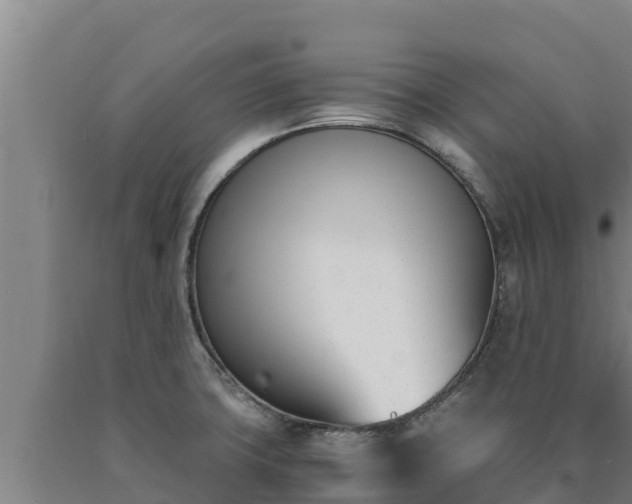 X0000090741427200707271415