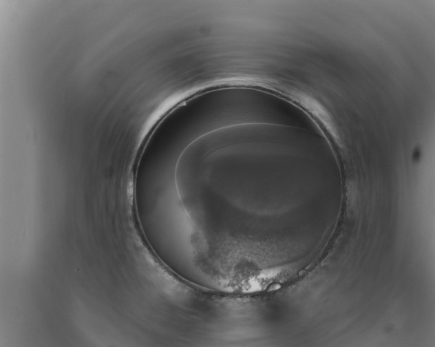 X0000090741428200707271415