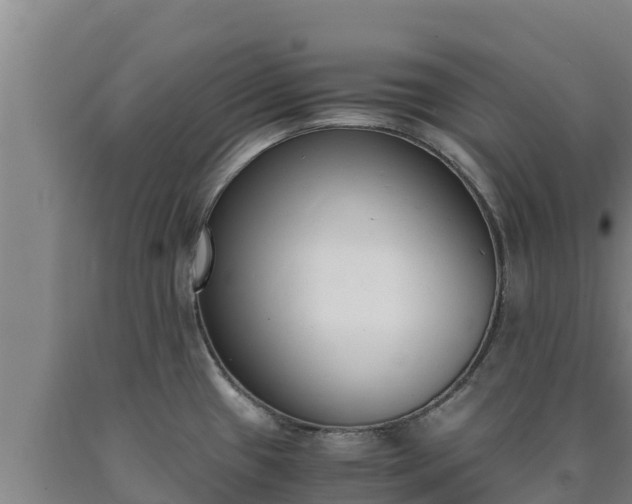 X0000090741433200707271415