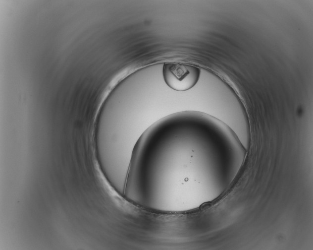 X0000090741434200707271415