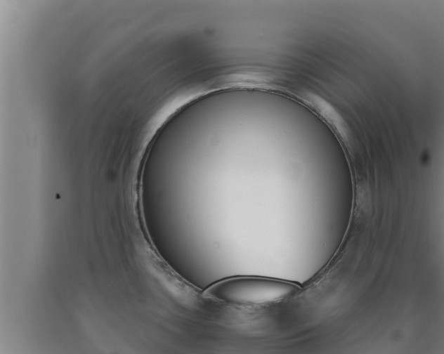 X0000090741435200707271415