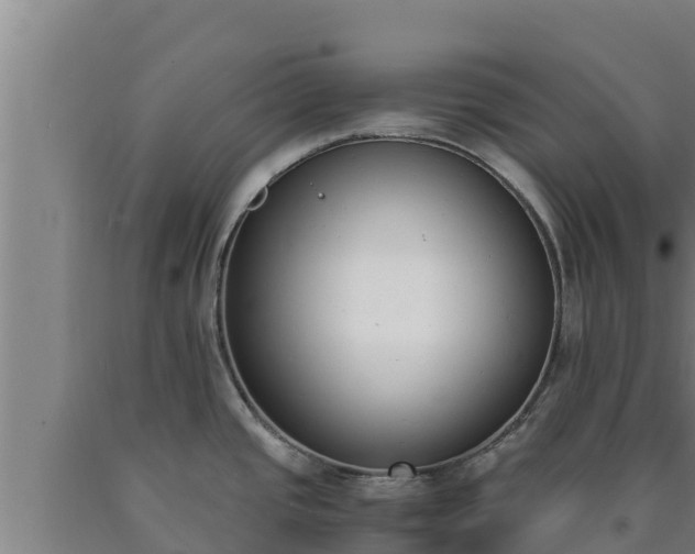 X0000090741437200707271415