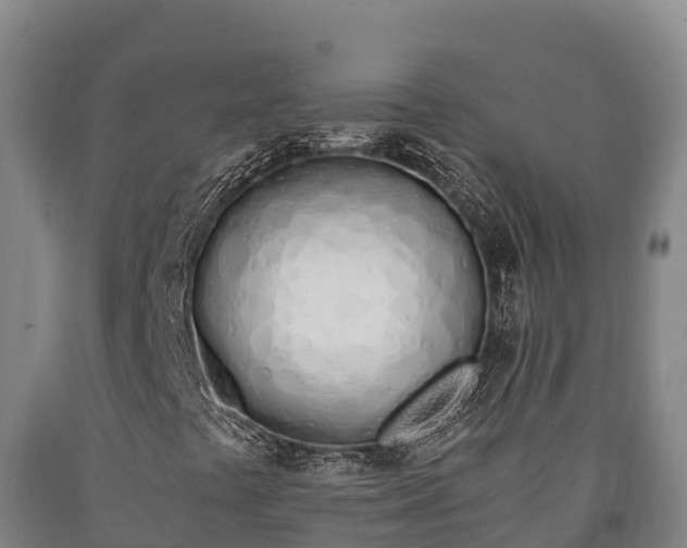 X0000090741441200707271415