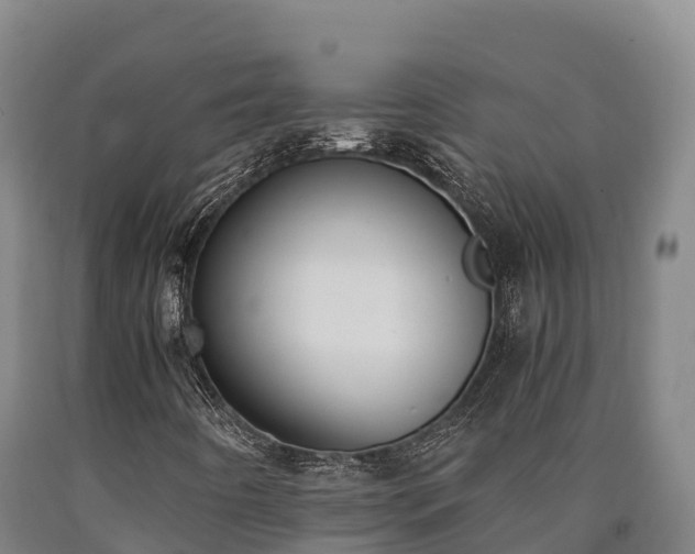 X0000090741442200707271415