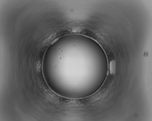 X0000090741443200707271415
