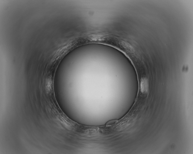 X0000090741444200707271415