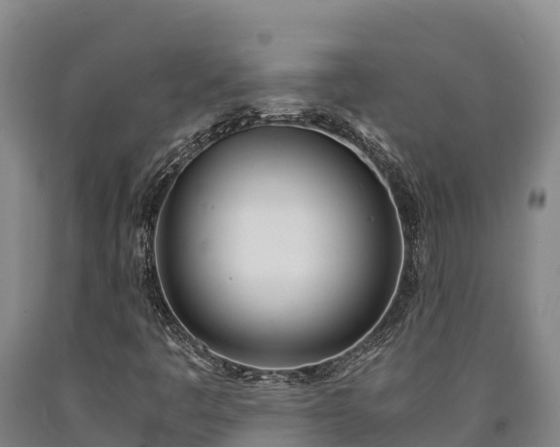 X0000090741445200707271414