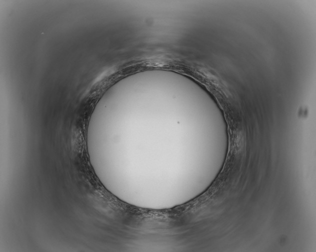 X0000090741446200707271414