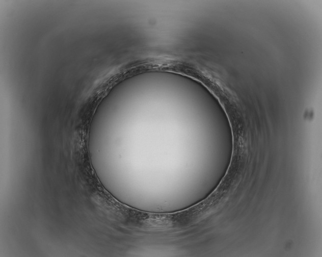 X0000090741447200707271414