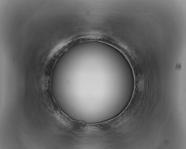 X0000090741448200707271414
