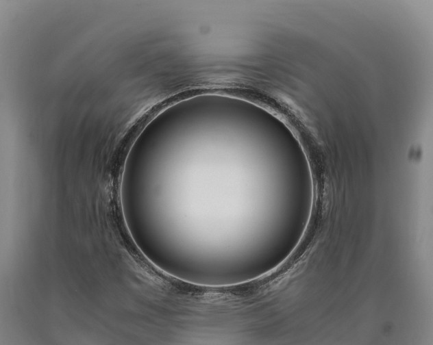 X0000090741449200707271414