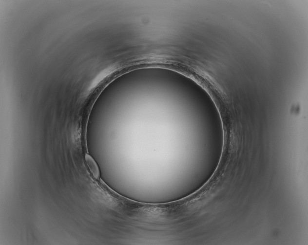 X0000090741450200707271414