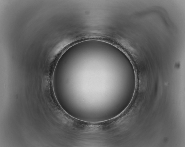 X0000090741453200707271414