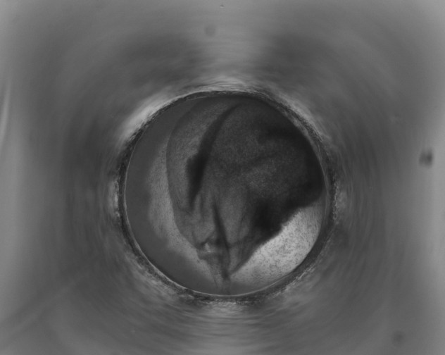 X0000090741455200707271414