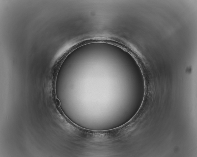 X0000090741456200707271414
