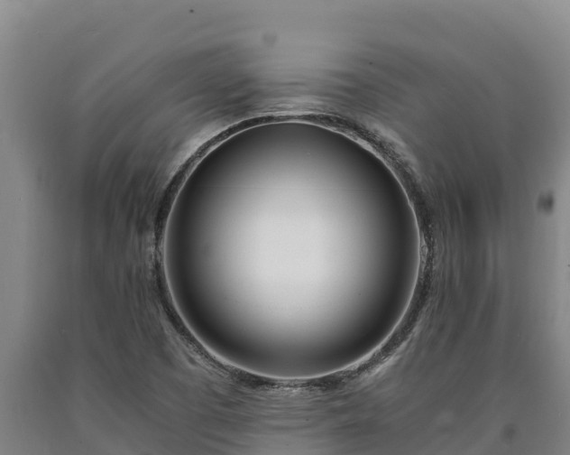 X0000090741457200707271414