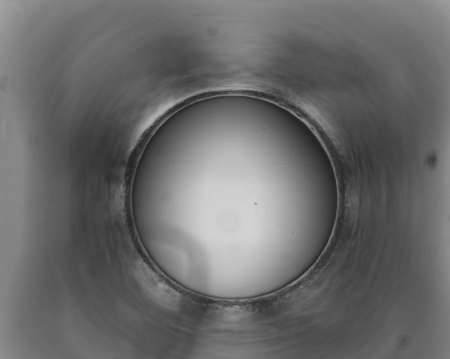 X0000090741460200707271414