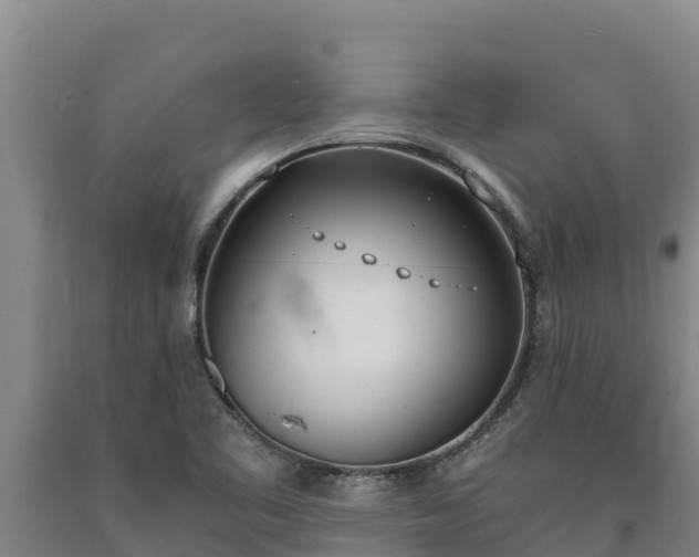 X0000090741461200707271414