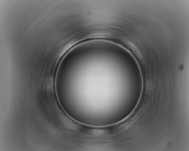 X0000090741465200707271414