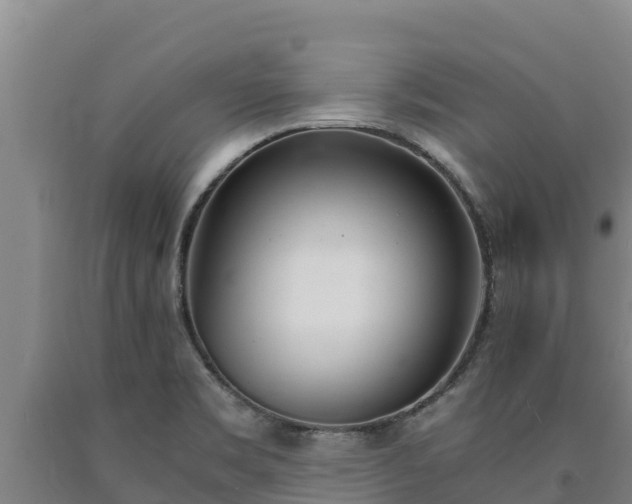 X0000090741469200707271414
