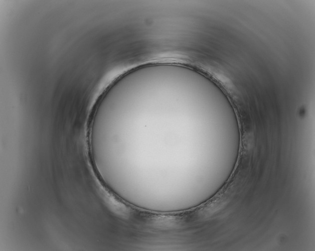 X0000090741470200707271414