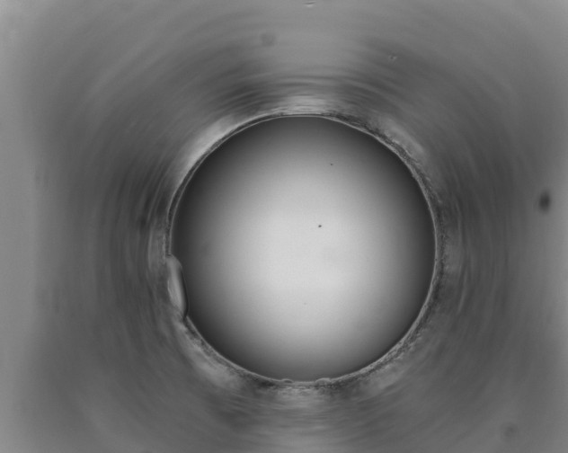 X0000090741473200707271414