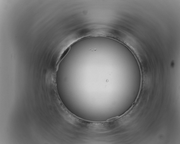 X0000090741481200707271414
