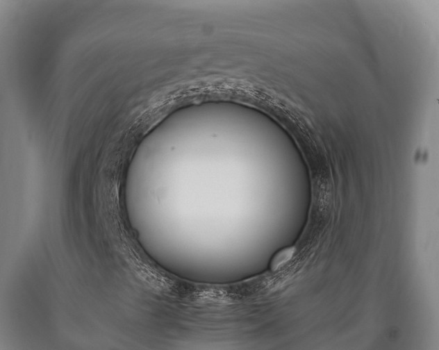 X0000090741489200707271413