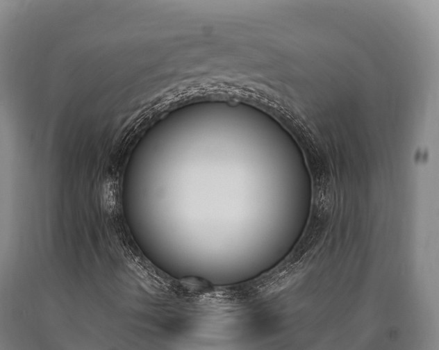 X0000090741490200707271413