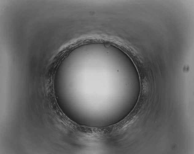X0000090741494200707271413
