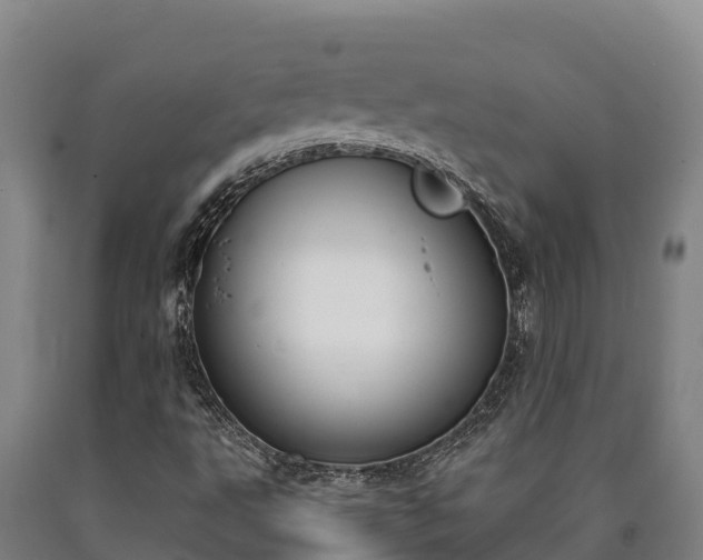 X0000090741495200707271413