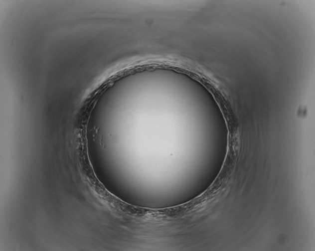 X0000090741496200707271413