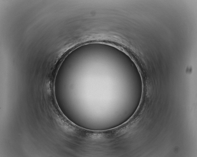 X0000090741497200707271413