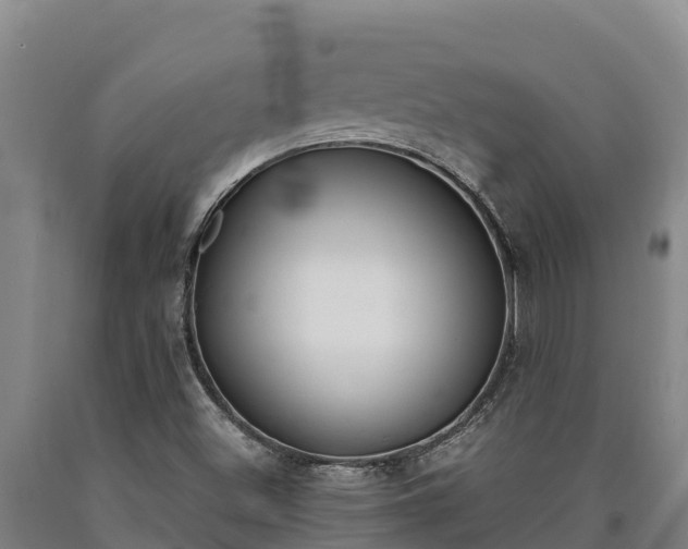X0000090741500200707271413