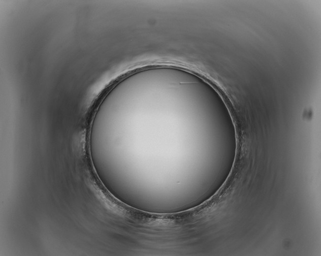 X0000090741503200707271414