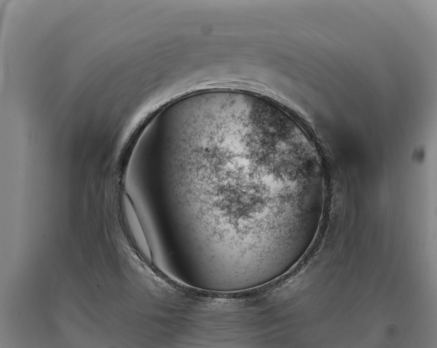 X0000090741506200707271414